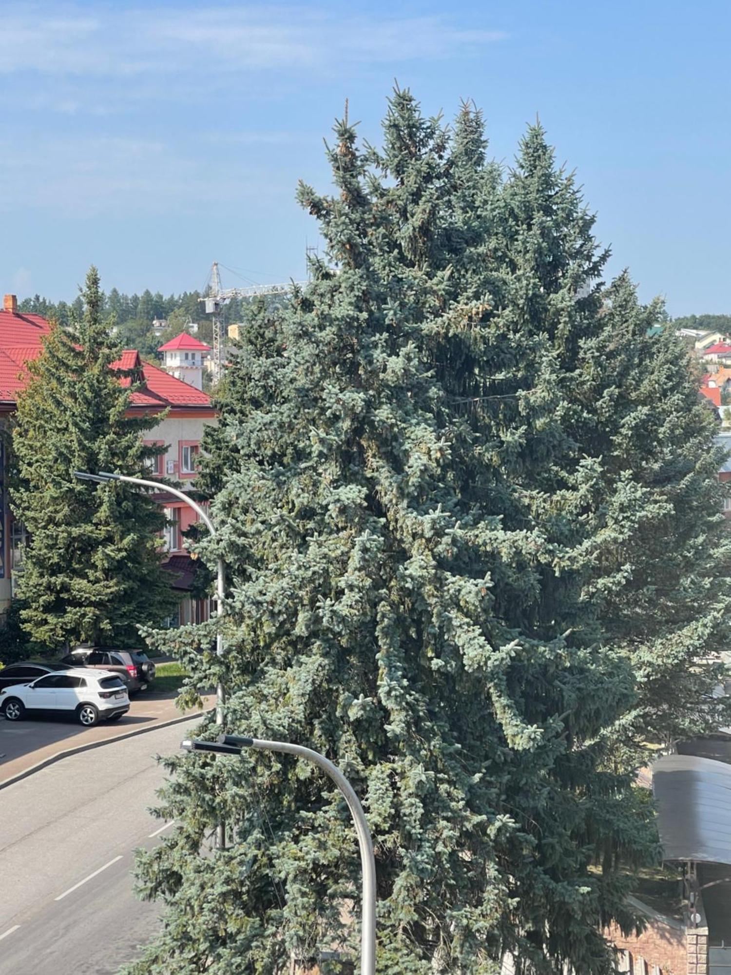Hotel Villa Sofia Truskavets Eksteriør billede
